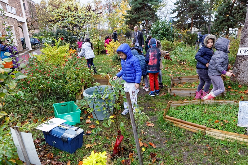 Photographie d'illustration du guide pratique sur les activités d'éducation au climat et à la biodiversité